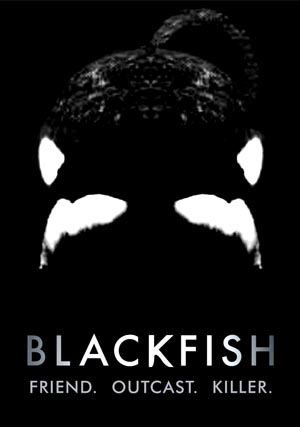 Blackfish-3, Copyright  Magnolia Pictures / NFP Marketing & Distribution