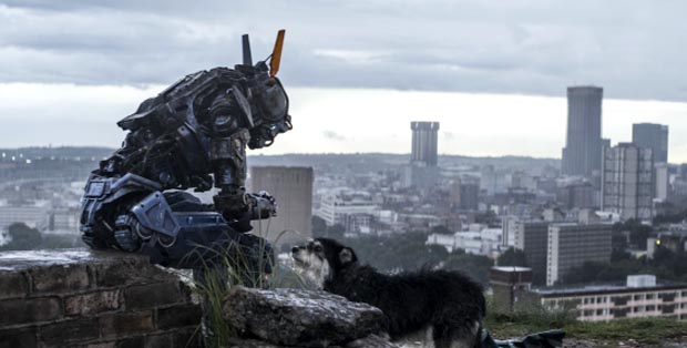 Chappie-2, Copyright Sony Pictures Releasing