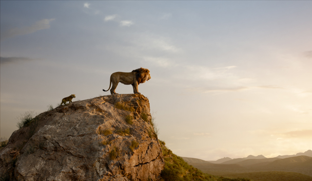 Lion King 3, Copyright WALT DISNEY STUDIOS MOTION PICTURE