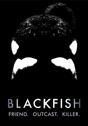 Blackfish-3, Copyright  Magnolia Pictures / NFP Marketing & Distribution