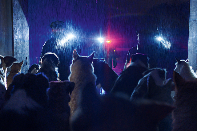 Dogman 3 - Copyright CAPELIGHT PICTURES