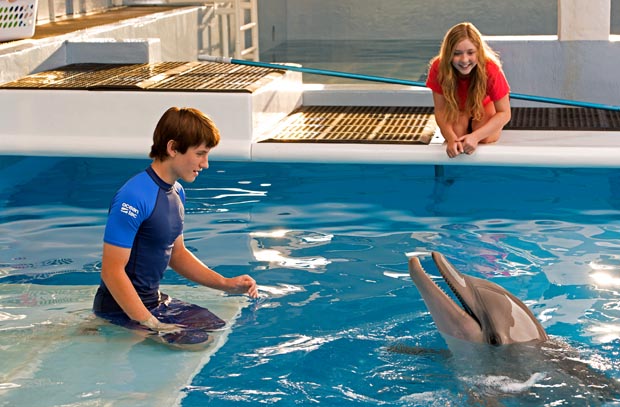 Dolphin-Tale-2-2, Copyright Warner Bros.