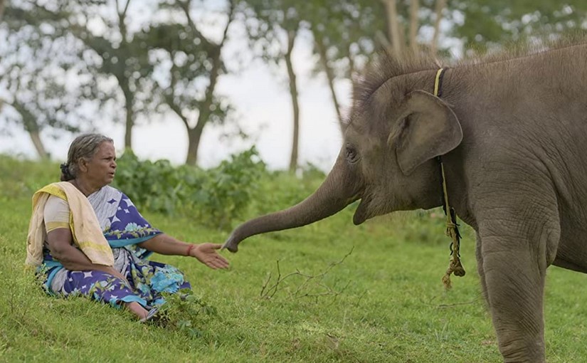 Elephant Whisperers 3 - Copyright NETFLIX