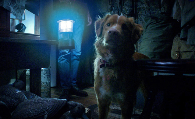 Good Boy 1 - (c) IFC / SHUDDER