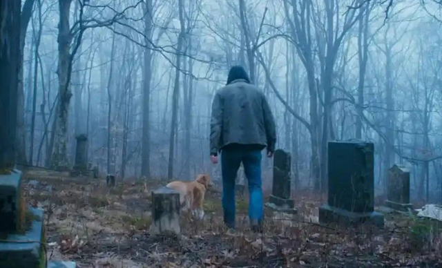 Good Boy 2 - (c) IFC / SHUDDER