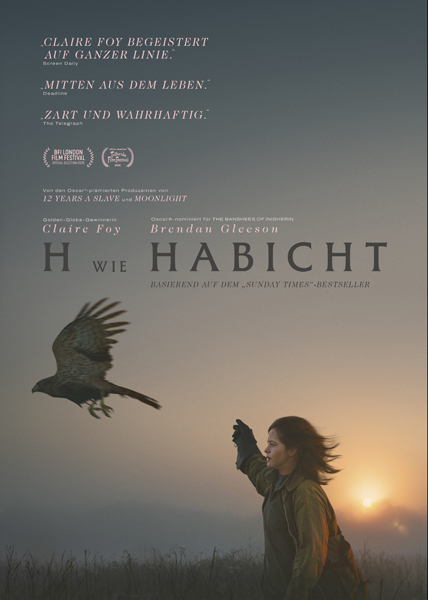 H is for Hawk - (c) DCM