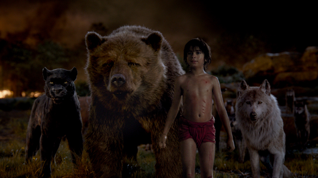 THE JUNGLE BOOK, Copyright Walt Disney Studio Motion Pictures