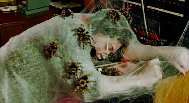Kingdom-of-the-spiders-4, Copyright Dimension Pictures / Shout! Factory