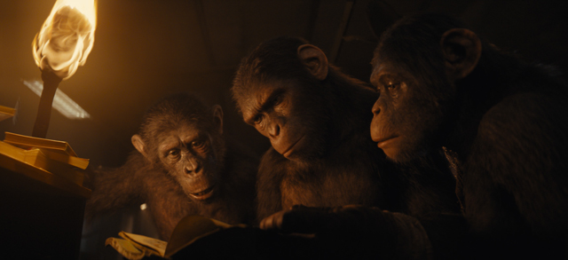 Planet Apes Kingdom 2 - Copyright 20th CENTURY STUDIOS