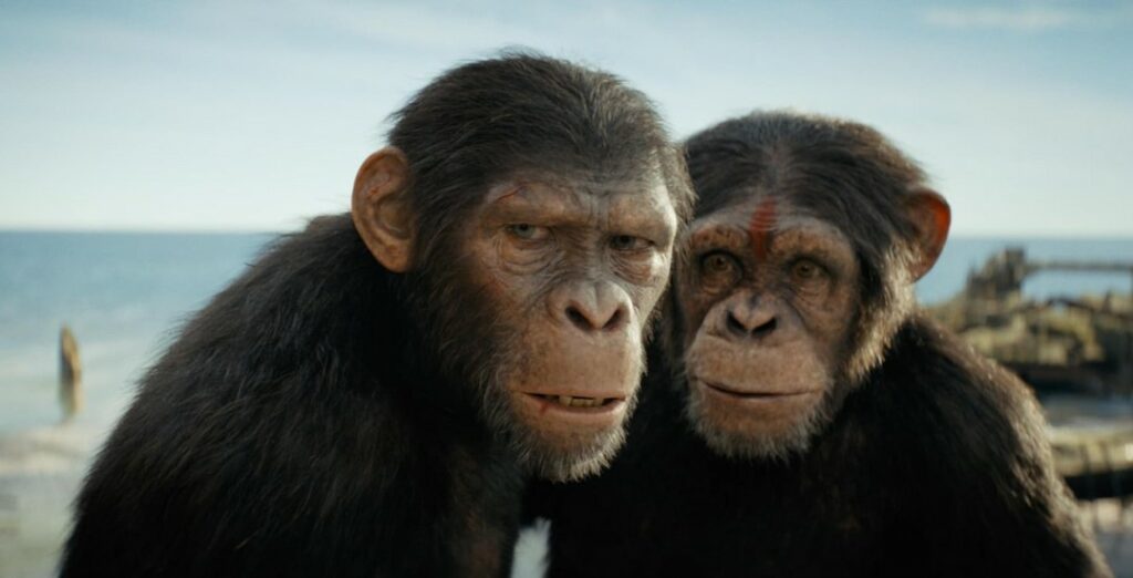 Planet Apes Kingdom 4 - Copyright 20th CENTURY STUDIOS