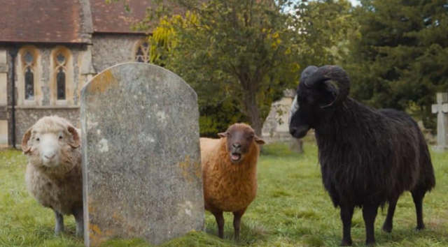 Sheep Detectives 3 - © 2026 Amazon Content Services LLC